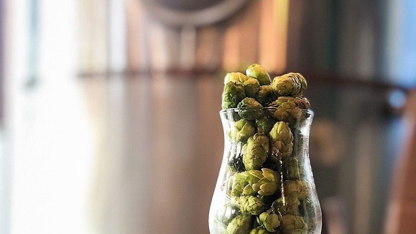 19th Annual Wet Hop Fest event artwork