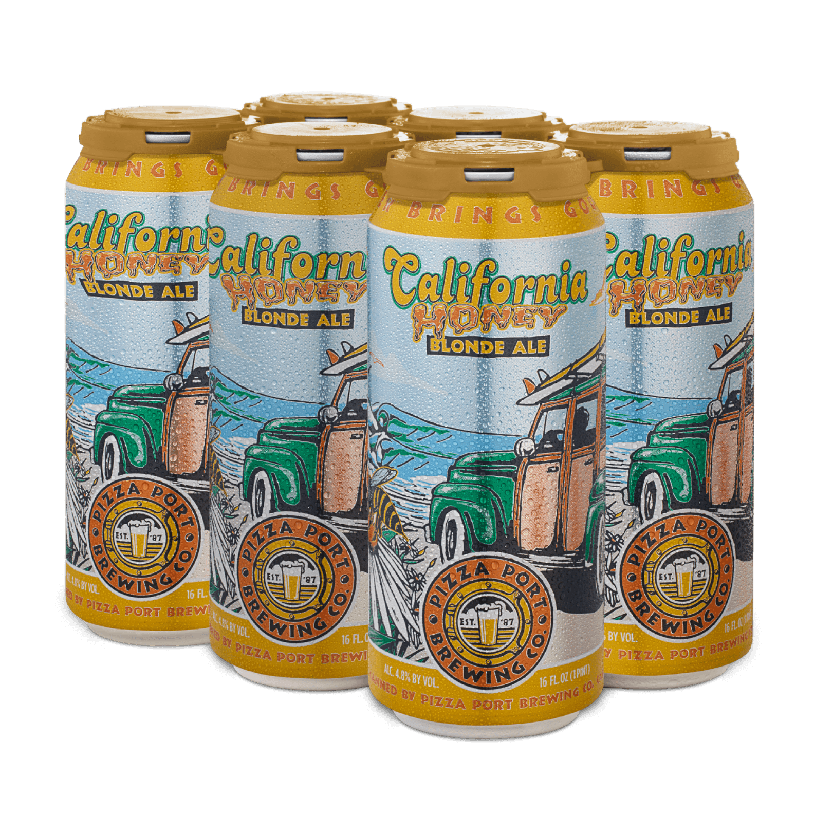 6 Pack 16 oz Cans