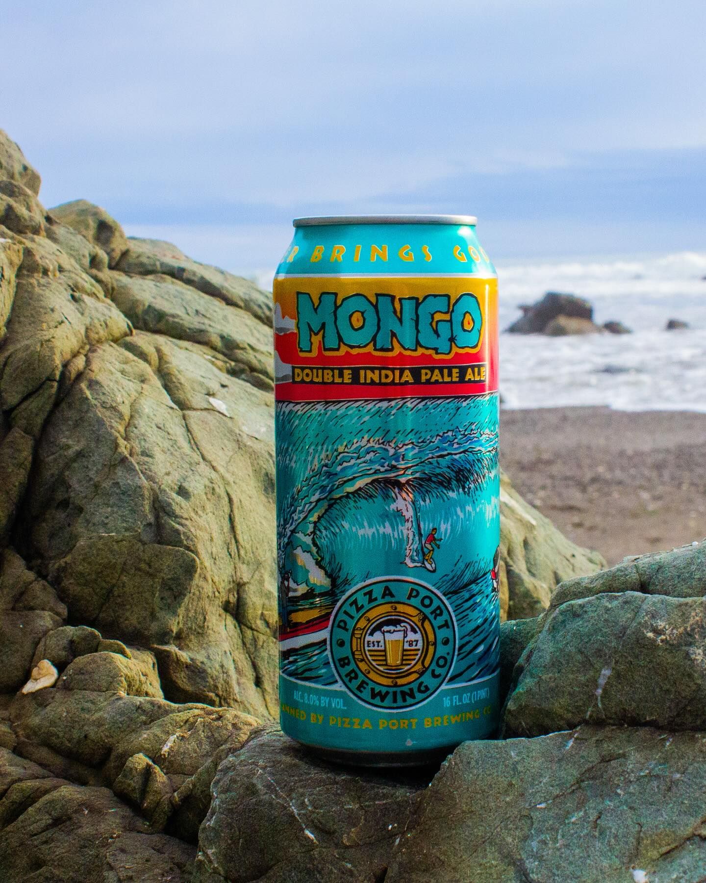 Mongo Double IPA can on the rocks at the beach