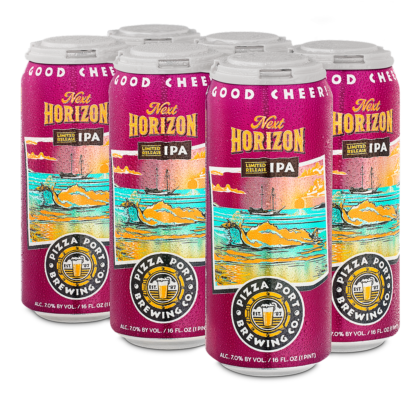 6 Pack 16 oz Cans